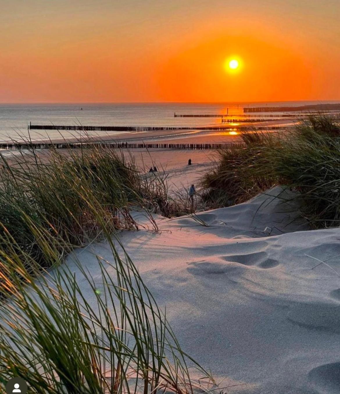 De Zilten Kaemer Zoutelande Exteriér fotografie