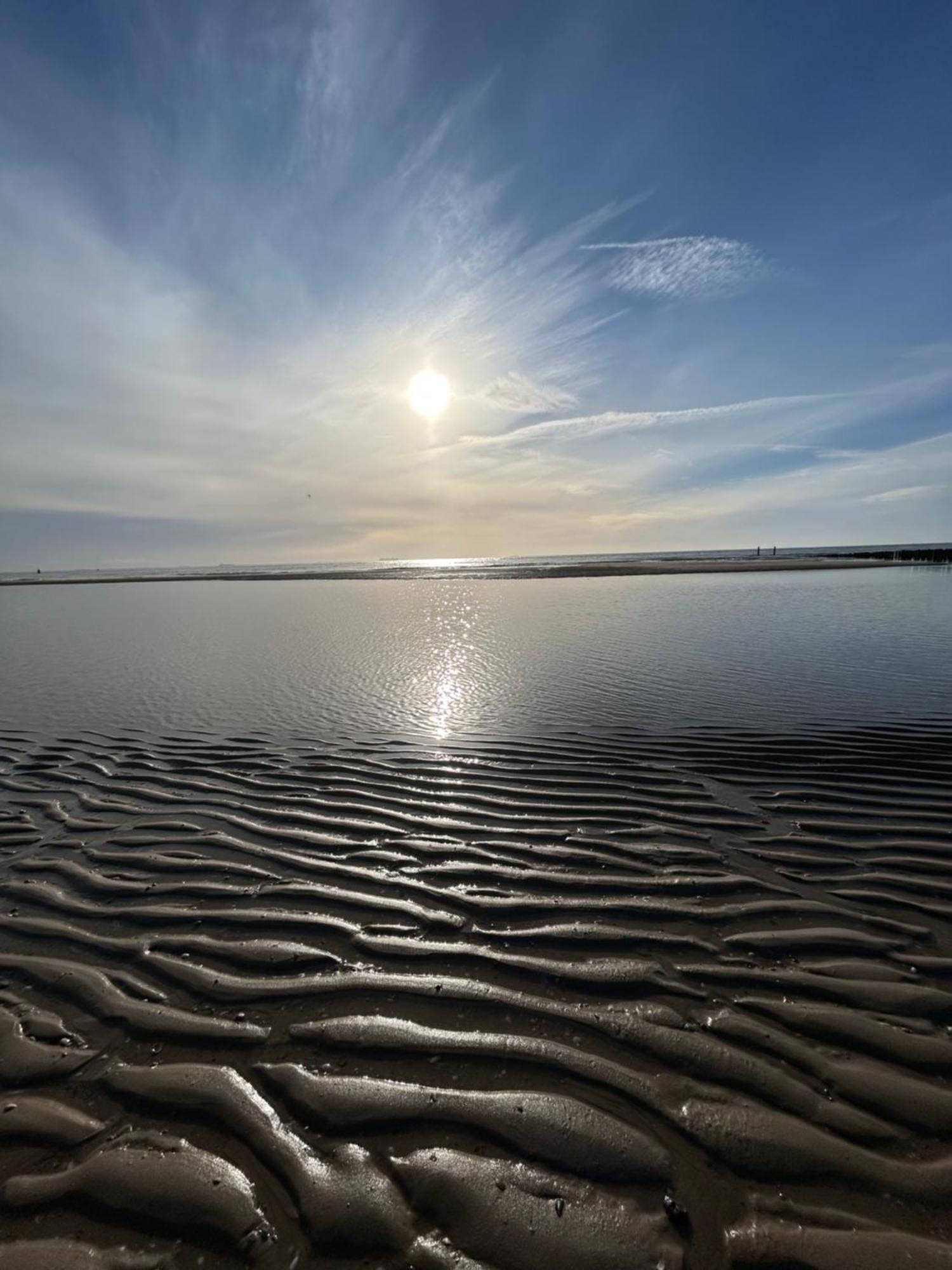 De Zilten Kaemer Zoutelande Exteriér fotografie